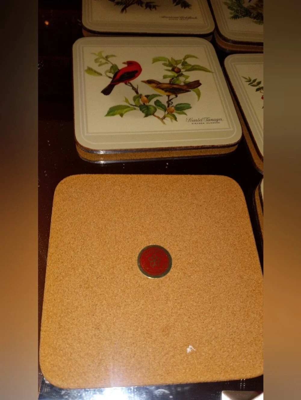 Vintage Pimpernel Acrylic Coasters Set of 6 - North American Song Birds w/ Box